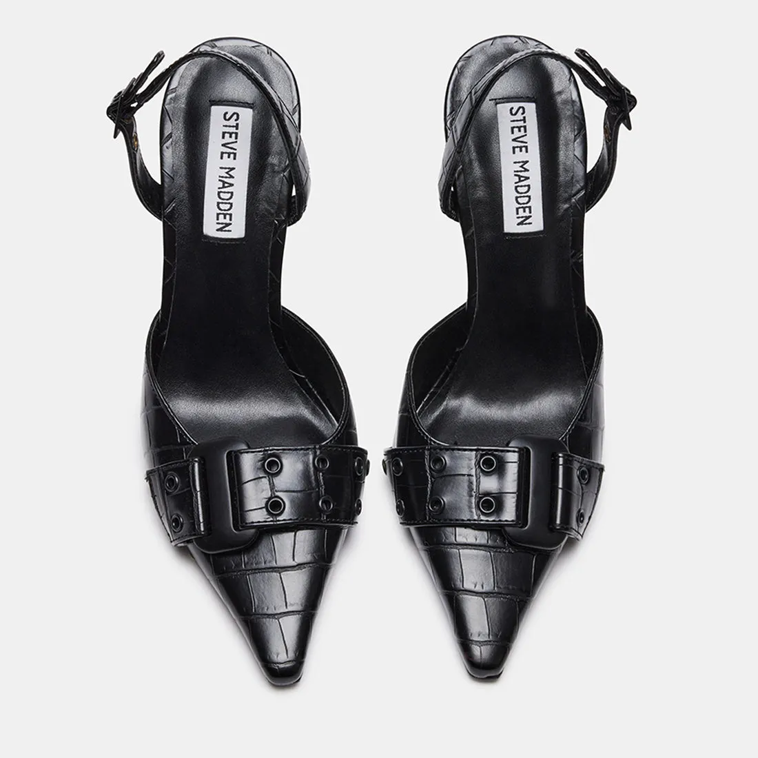 DILLON BLACK EXOTIC