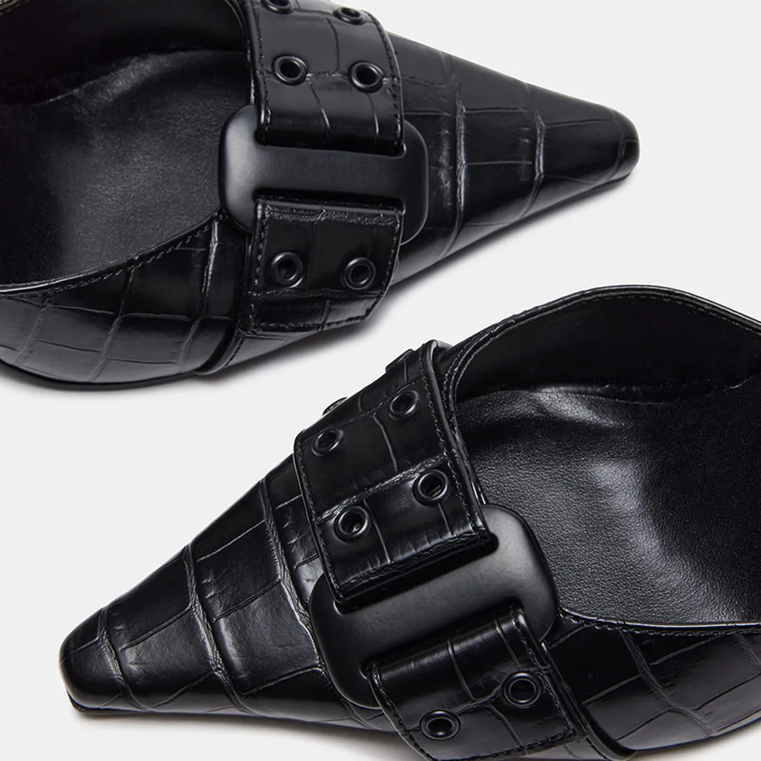 DILLON BLACK EXOTIC