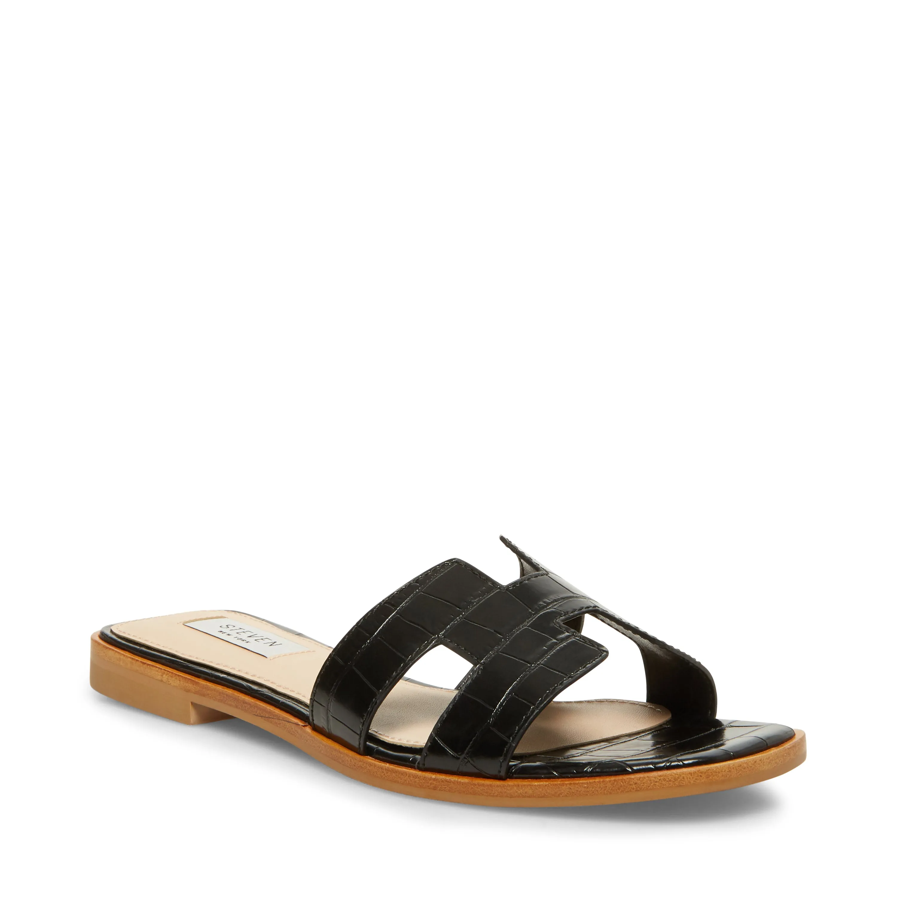 HADYN BLACK EXOTIC