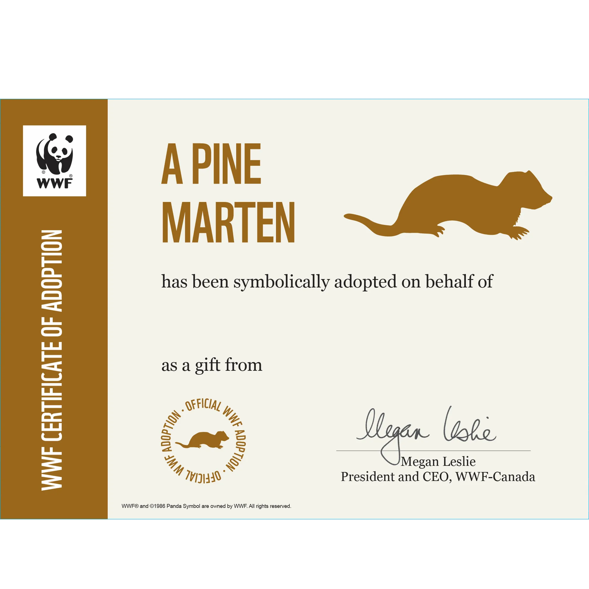 Pine marten adoption card